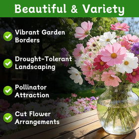 LUOJIBIE Cosmos Seeds border and meadow use creates easy landscape drama