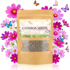 LUOJIBIE Cosmos Seeds four-color mix for a vibrant garden display