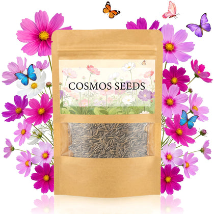 LUOJIBIE Cosmos Seeds four-color mix for a vibrant garden display