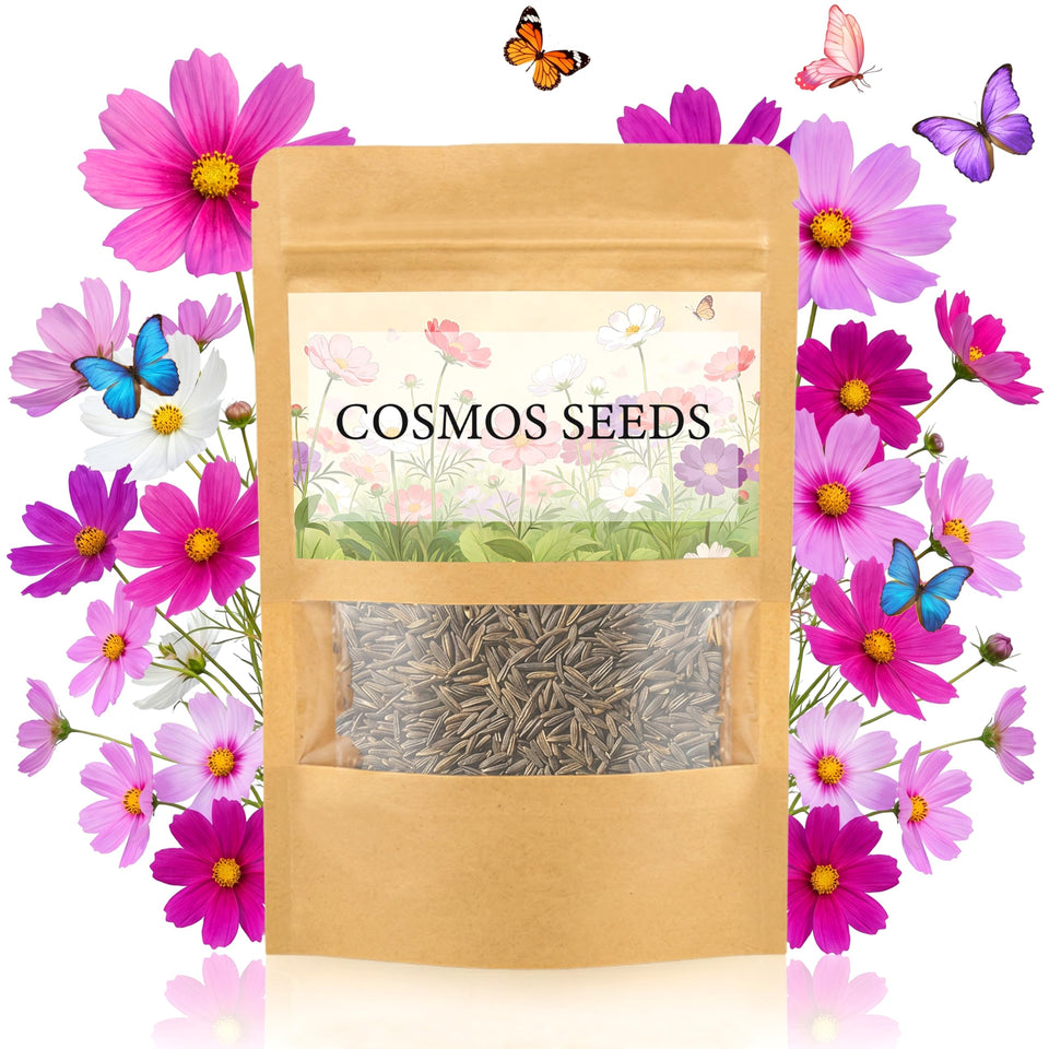 LUOJIBIE Cosmos Seeds four-color mix for a vibrant garden display