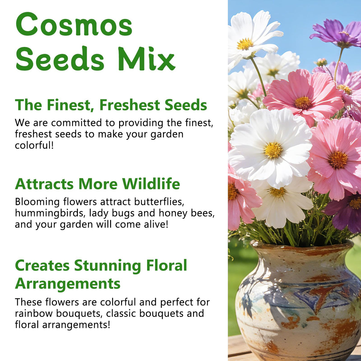 LUOJIBIE Cosmos Seeds high germination rate supports quick flowering