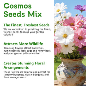 LUOJIBIE Cosmos Seeds high germination rate supports quick flowering