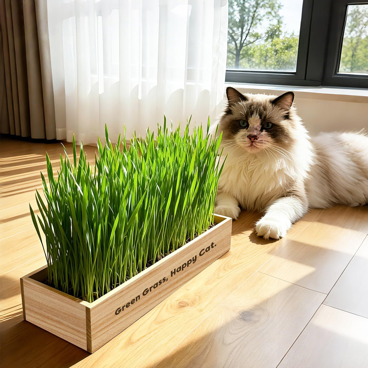 LUOJIBIE gift-ready packaging appeals as a thoughtful cat lover gift.