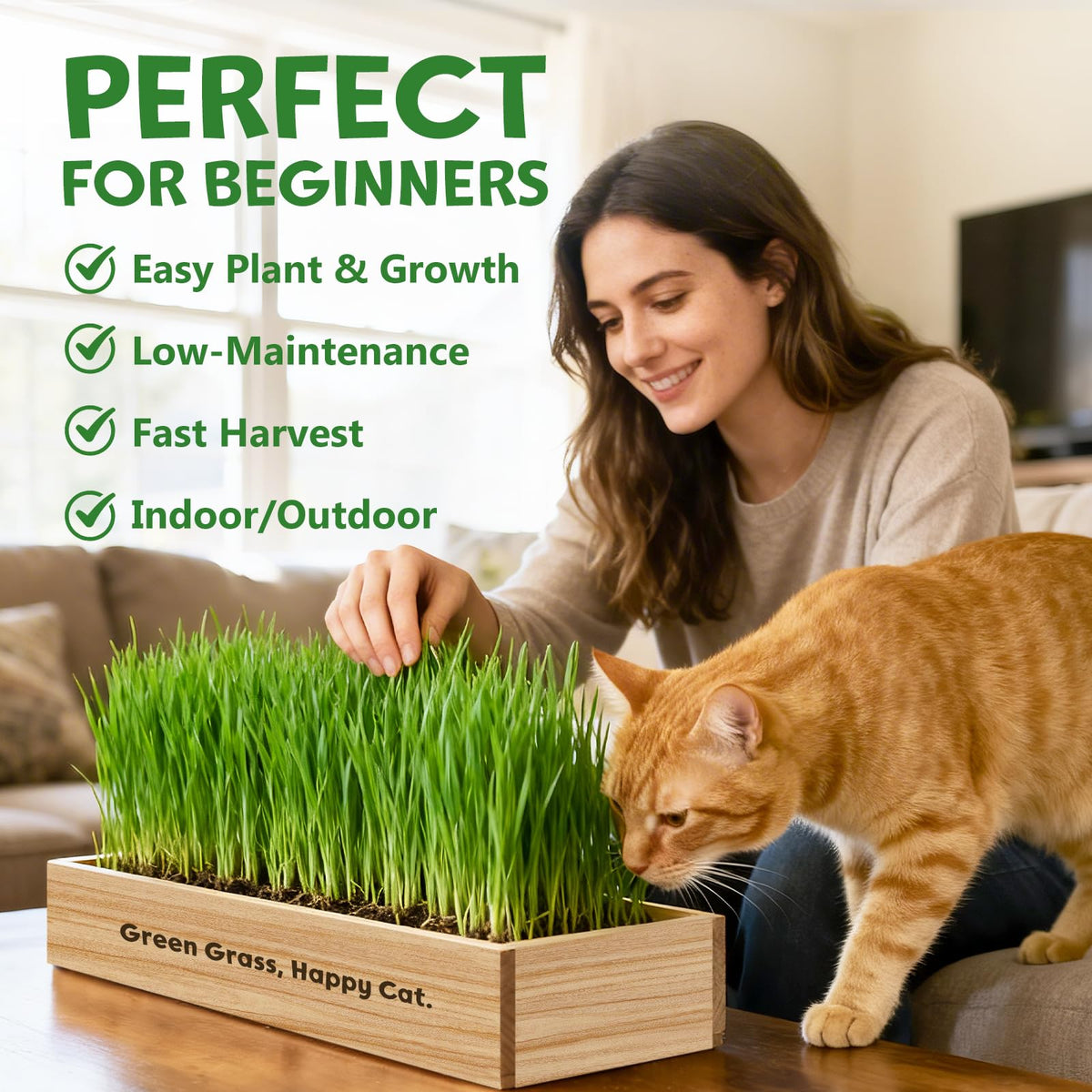 LUOJIBIE mini gardening tools help beginners plant and trim cat grass.