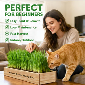 LUOJIBIE mini gardening tools help beginners plant and trim cat grass.