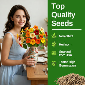 LUOJIBIE nasturtium seeds large blooms are ideal for borders and containers.