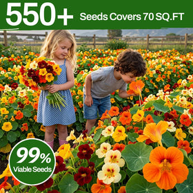 LUOJIBIE nasturtium seeds pollinator-friendly mix draws bees and butterflies to gardens.