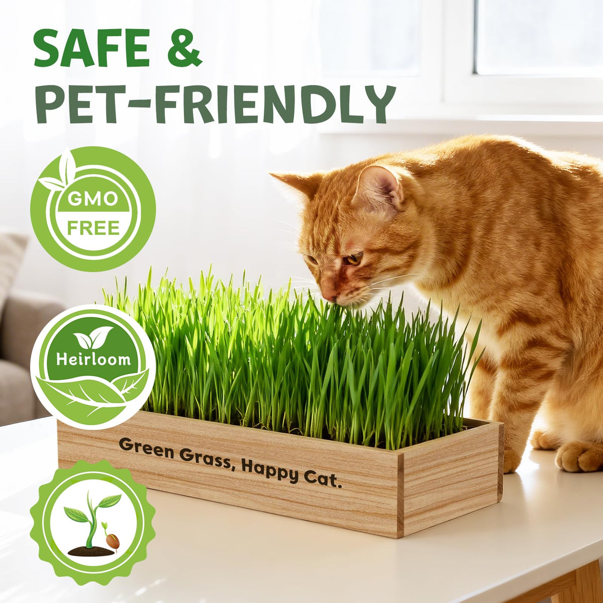 LUOJIBIE wooden planting box neatly displays vibrant cat grass indoors.