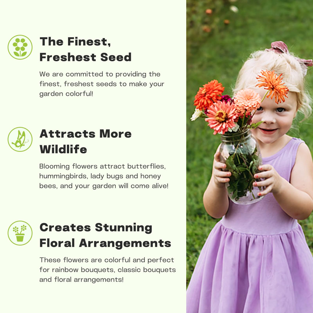 LUOJIBIE zinnia beginner-friendly planting guide and germination