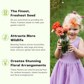 LUOJIBIE zinnia beginner-friendly planting guide and germination