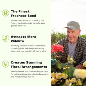LUOJIBIE pollinator-friendly zinnias attract butterflies and bees.