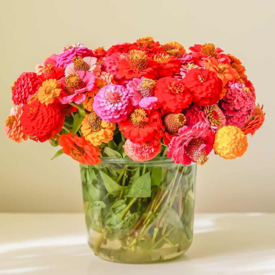 LUOJIBIE zinnia seeds bulk pack ready for large gardens and meadows
