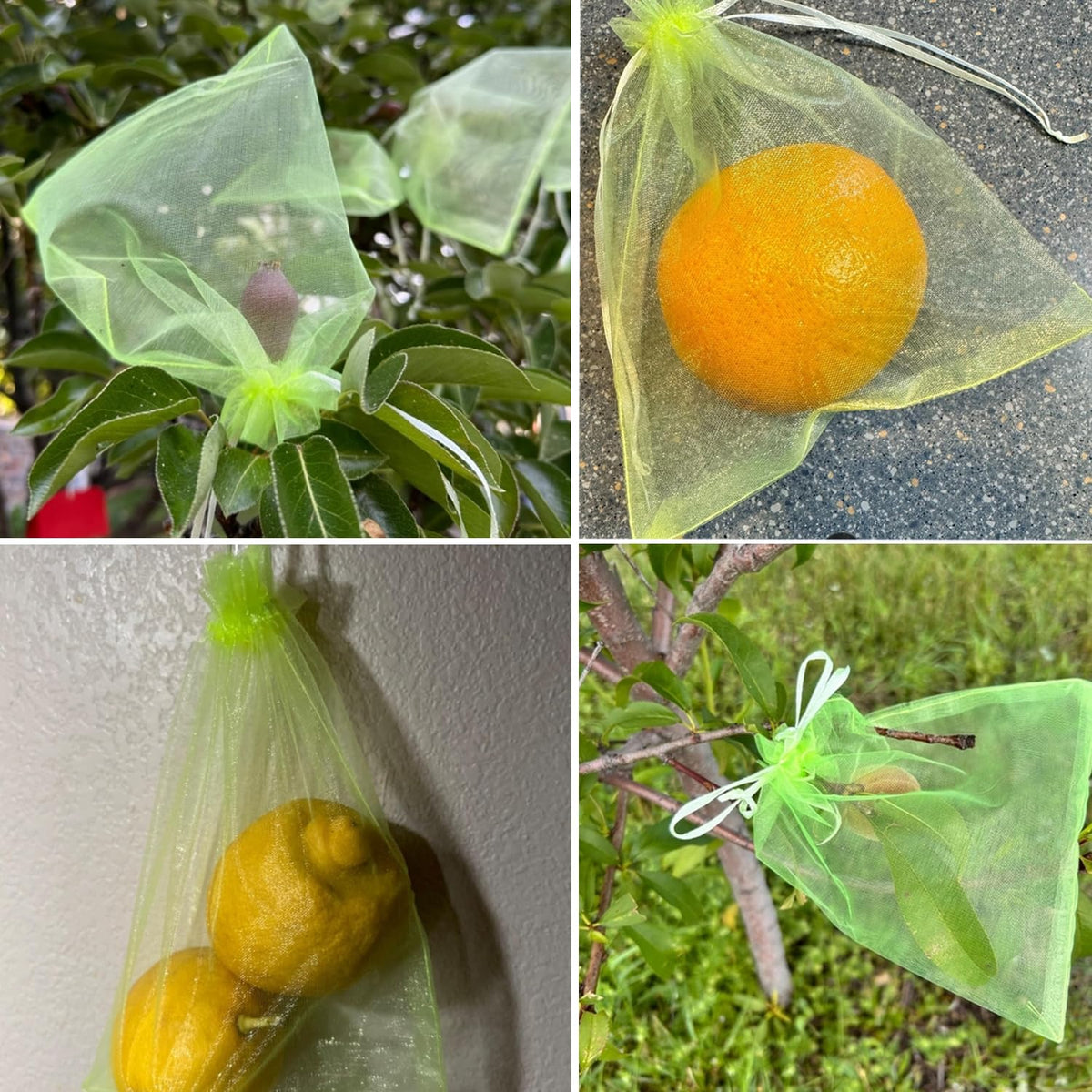 LUOTIVON breathable mesh allows airflow and sunlight for healthier produce