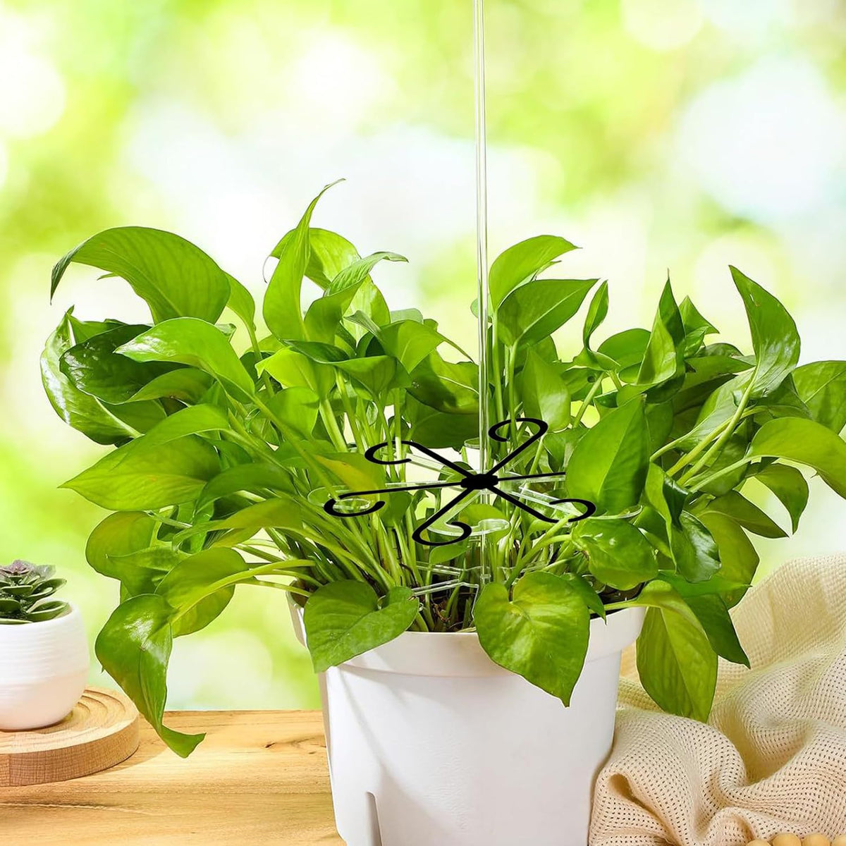 LUOTIVON gift idea plant enthusiasts for organized growth