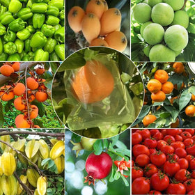 LUOTIVON green organza bags soft and lightweight for delicate harvests