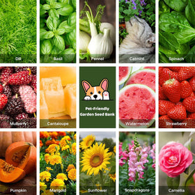LUSH&DEW acrylic labels keep seeds organized and fresh