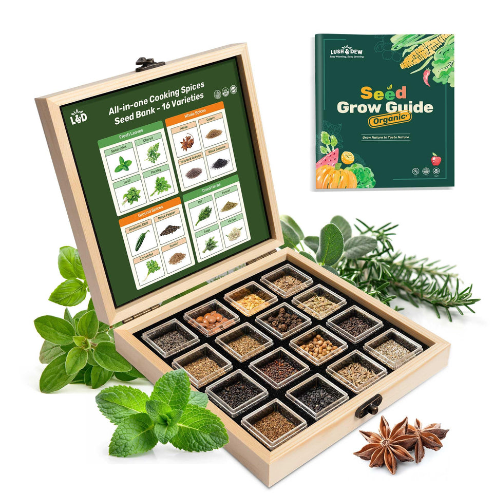LUSH&DEW Culinary Herbs Seed Bank pack for fresh home cooking.