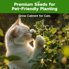 LUSH&DEW seeds featuring high germination rates for reliable sprouting