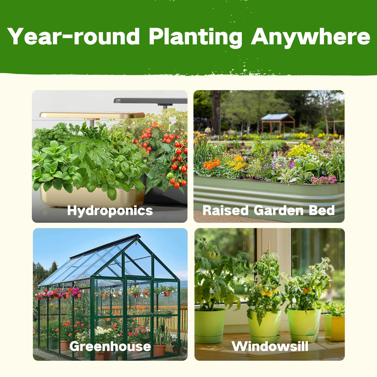 LUSH&DEW non-GMO seeds with high germination for zones 3 to 10.