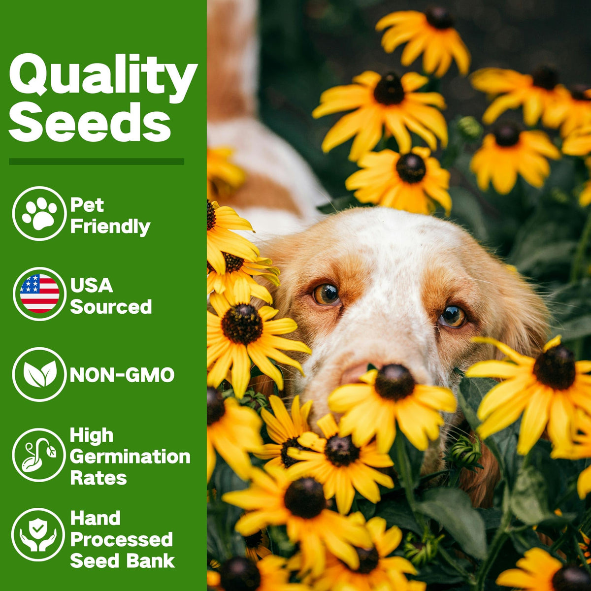 LUSH&DEW pet-safe varieties support pet-friendly planting and herb gardens
