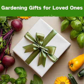 LUSH&DEW seed bank designed for raised beds and urban gardens.