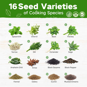 LUSH&DEW seed storage box with labeled containers for easy planting.
