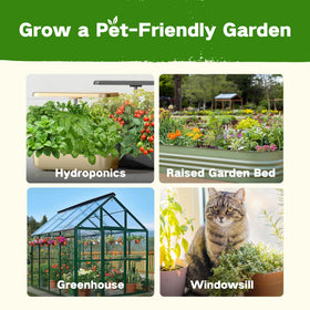 LUSH&DEW windowsill gardening idea with compact seed options