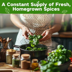 LUSH&DEW herb kit suited for windowsill and hydroponic garden.