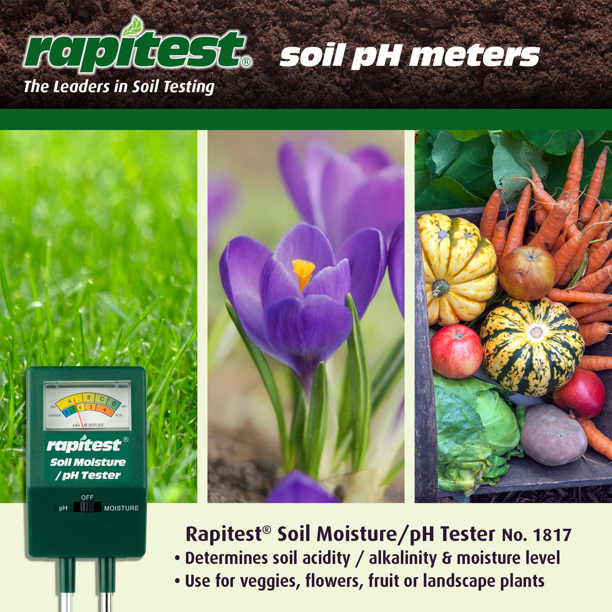 Luster Leaf Rapitest probes arranged for quick soil moisture and pH checks