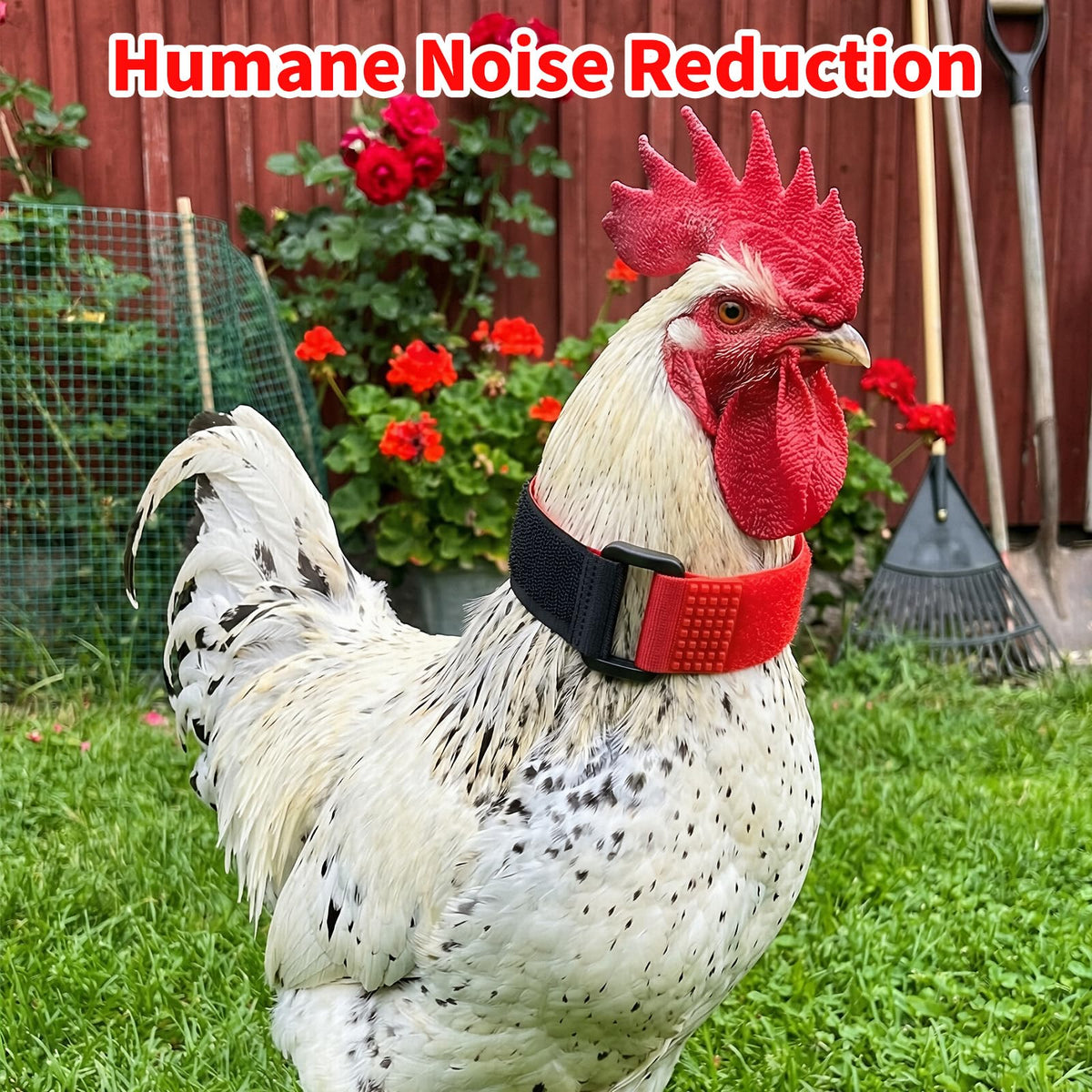 LUSTRIB durable outdoor nylon collar designed for long-lasting poultry use.