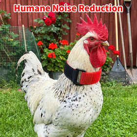 LUSTRIB durable outdoor nylon collar designed for long-lasting poultry use.