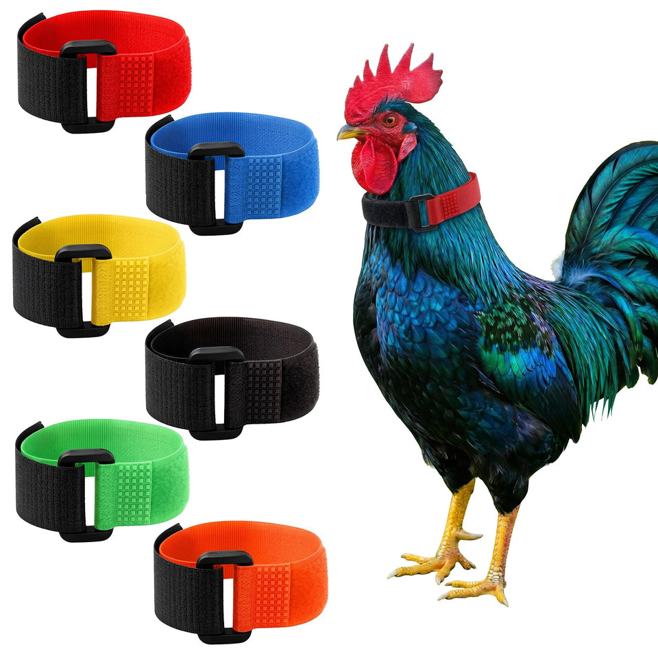 LUSTRIB no-crow collar set in six colors for easy rooster management.