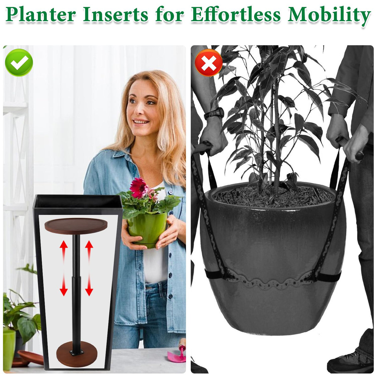 LUTTY riser stabilizes tall potted plants for easy relocation.