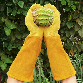 Luvaswel long sleeve gloves shield forearms from scratches and sun.