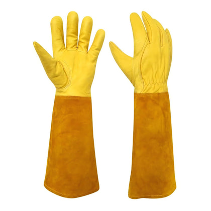Luvaswel thorn-proof garden gloves in cowhide protect hands during thorny pruning tasks.