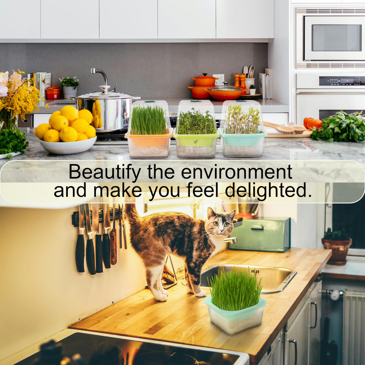 LUVCOSY kitchen-counter-microgreens convenient setup for quick harvests