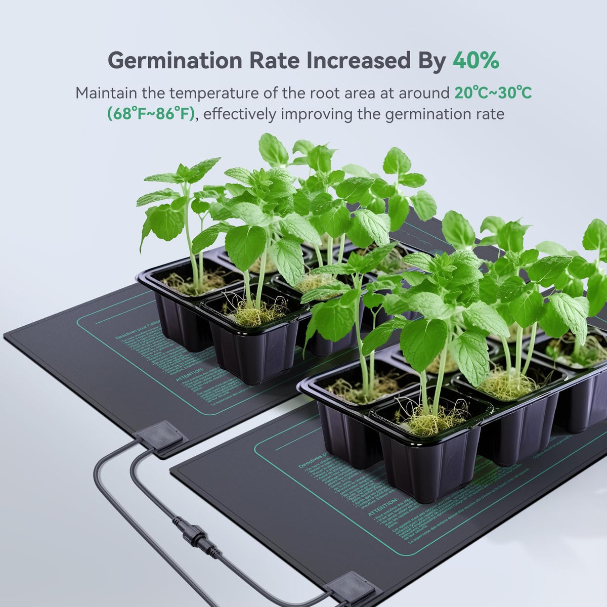 Luxbird indoor gardening setup supports reliable warmth for trays