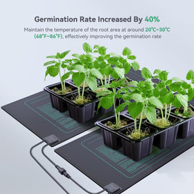Luxbird indoor gardening setup supports reliable warmth for trays