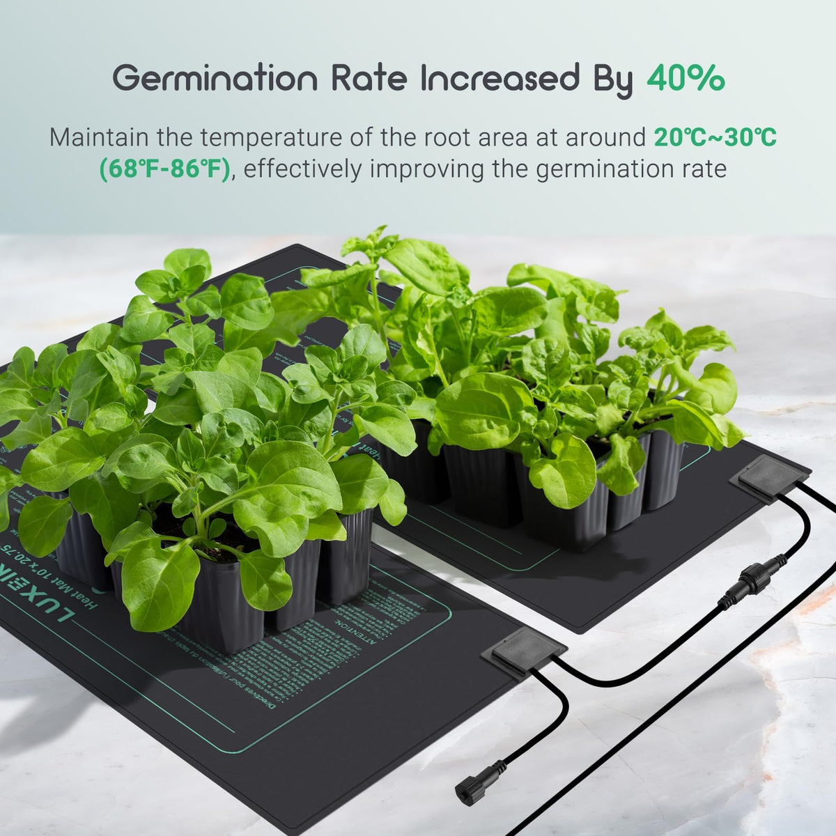Indoor seed starting with Luxbird mats compatible with 1020 trays.