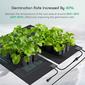 Indoor seed starting with Luxbird mats compatible with 1020 trays.