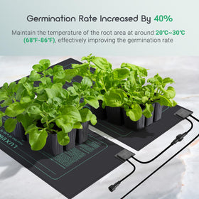 Six mats connected together enable a compact indoor greenhouse setup.