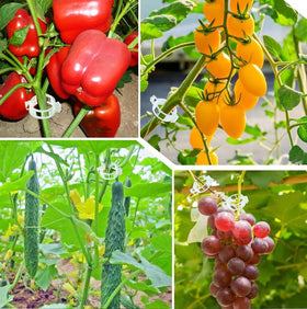Luxdesc clear plastic clip is durable and weather-ready for seasonal garden use.
