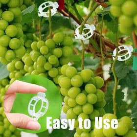 Luxdesc easy-snap clips simplify gardening tasks and save time.