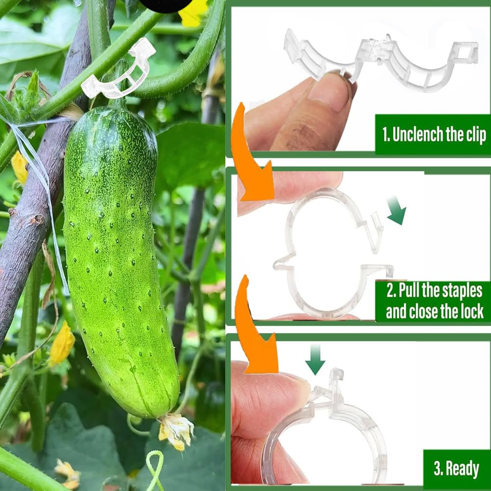 Luxdesc garden clips fixed to string guide climbing vines toward the trellis.