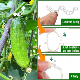 Luxdesc garden clips fixed to string guide climbing vines toward the trellis.