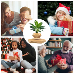 Luxelinc levitating pot gift packaging presents a memorable decor gift