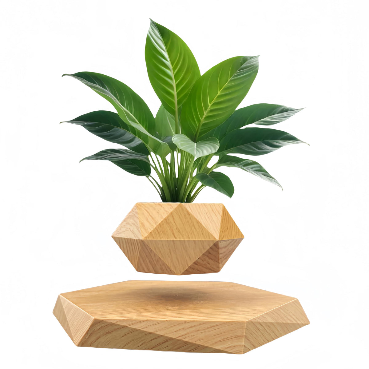 Luxelinc levitating plant pot overview demonstrates magnetic levitation as a striking centerpiece