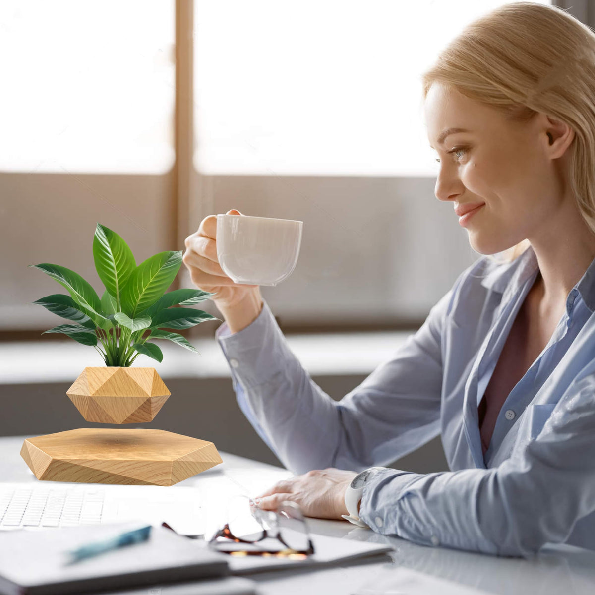 Luxelinc rotating planter 360° highlights dynamic decor for modern spaces