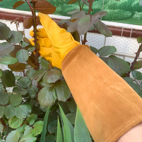 LUZAYA Rose Pruning Gloves ideal for pruning roses and thorny plants