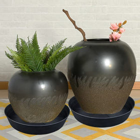 LWALRS 4-pack provides convenient protection for multiple plants.